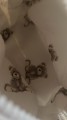 IMG_1875.jpeg