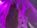 IMG_0691.jpeg